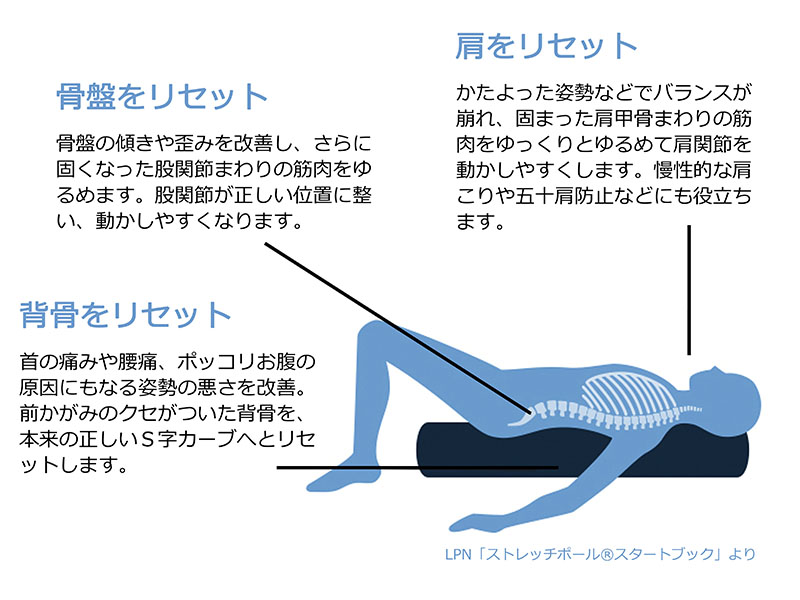 南予接骨院 ストレッチポール ひめトレ