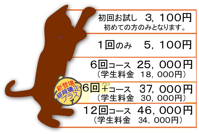 猫背矯正の各種コースと料金 南予接骨院