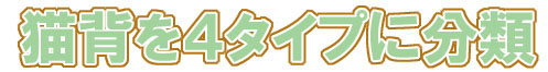 詳しい説明は画像をクリック!