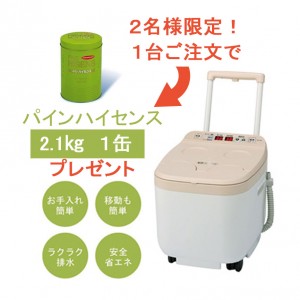 パインハイセンスセール1