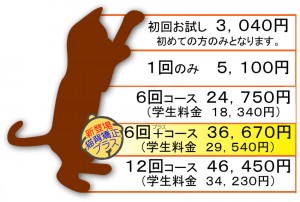 猫背矯正コース料金表２０１９年１０月より