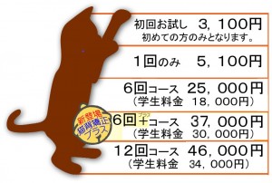 猫背矯正コース料金表２０２１年９月より