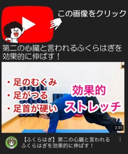 第二の心臓と言われるふくら