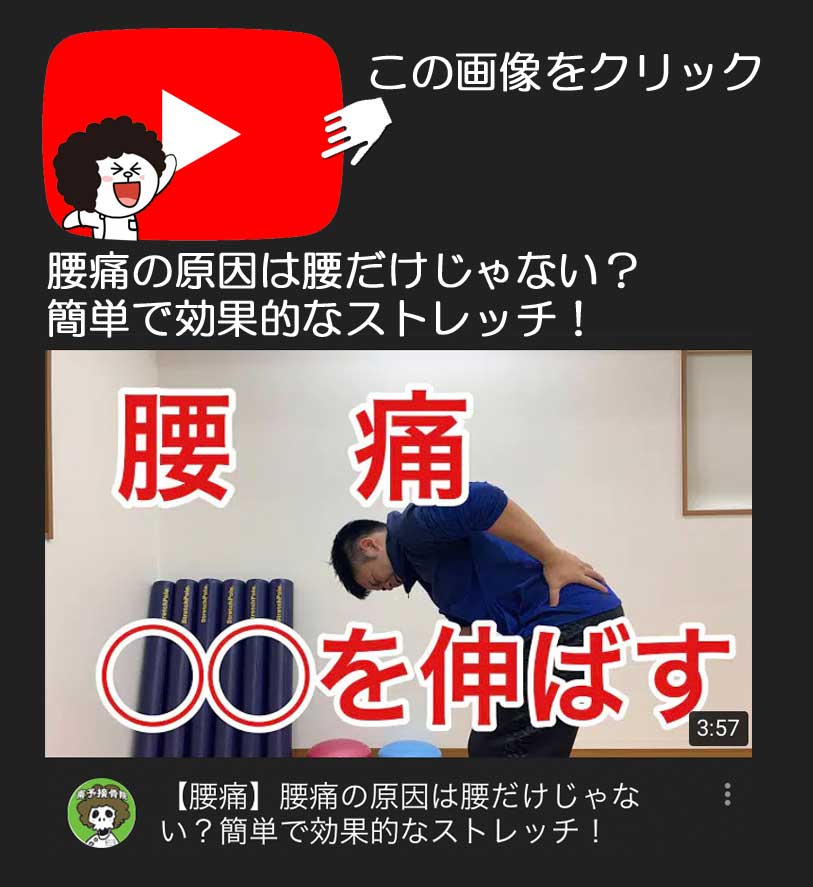 腰痛の原因は腰だけじゃない